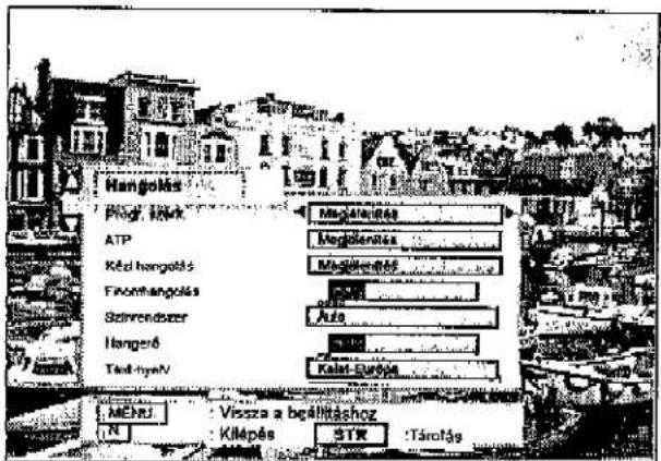 PANASONIC TX-W32D2F - HANGOLASMENU - Programszerkesztés - 4