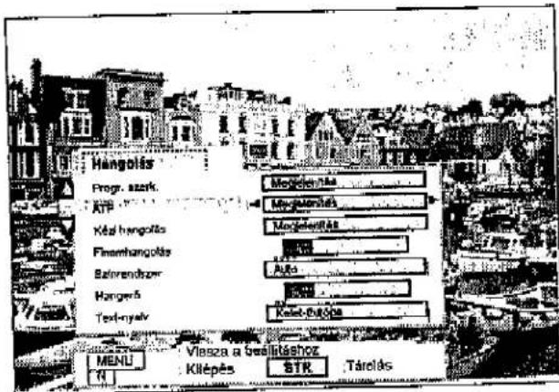 PANASONIC TX-W32D2F - Hangolás - 8