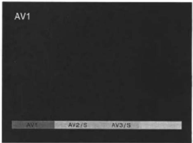 PANASONIC TX-32PK25P - S tem menijem izberete zunanji vhod - 2