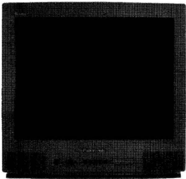 PANASONIC TX-25CK1 - Panasonic - 1