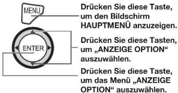 MENU DRücken Sie diese Taste, um den Bildschirm HAUPTMENÜ anzuzeigen. ENTER Drücken Sie diese Taste, um „ANZEIGE OPTION“ auszuwählen. Drücken Sie diese Taste, um das Menü „ANZEIGE OPTION“ auszuwählen.