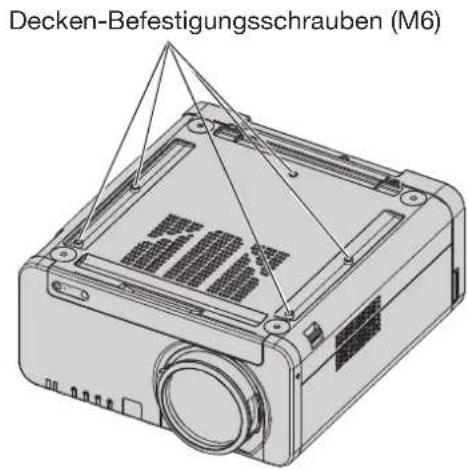 Decken-Befestigungsschrauben (M6)