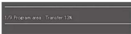 1/9 Program area : Transfer 13%