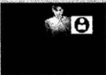 PANASONIC NV-EX3B - ② Scene Index Signal - 13