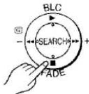 PANASONIC NV-EX3B - ② Scene Index Signal - 6