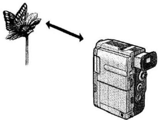 Diagram showing a butterfly on a flower and a digital camera, illustrating the relationship between the two devices.