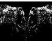 PANASONIC NV-EX3B - Effects - 9