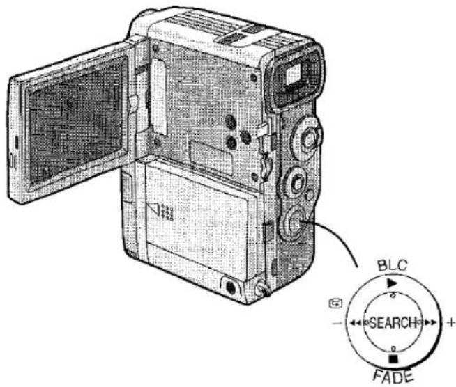 BLC SEARCH FADE
