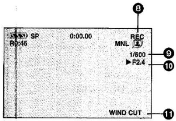 SP R0:45 0:00.00 REC MNL 1/500 F2.4 WIND CUT 8 9 10 11