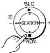 PANASONIC NV-EX3B - ② Scene Index Signal - 3
