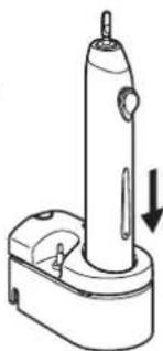 PANASONIC EW1031CM - ▶ Nach dem Abwaschen - 1