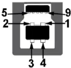 DELL P3418HW - USB Upstream Connector - 1