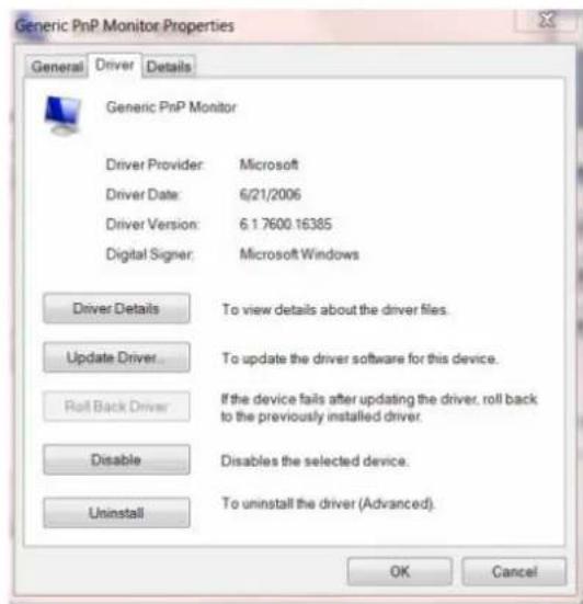 AOC Essential-line E2460SH - Click the "Driver" tab. - 1