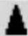 HTC Touch Phone - Icons that appear in this area - 12