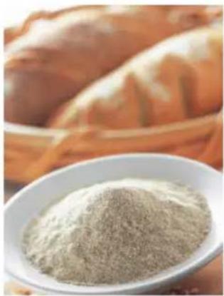 Vitamix Aspire - WHOLE WHEAT FLOUR - 1