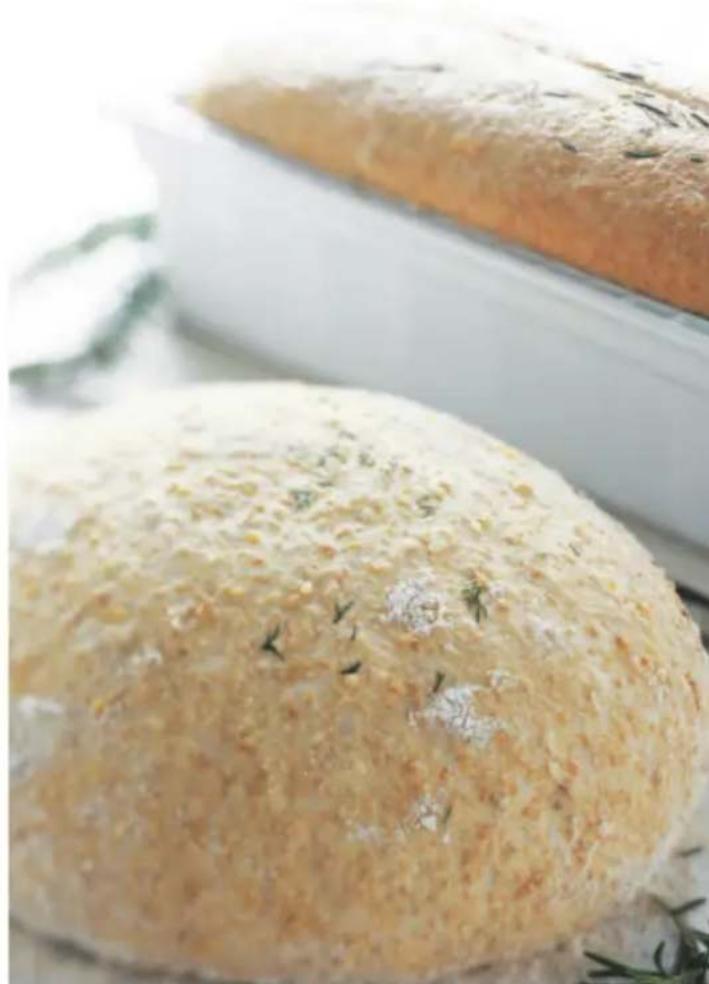 Vitamix Aspire - WHOLE WHEAT BREAD - 1