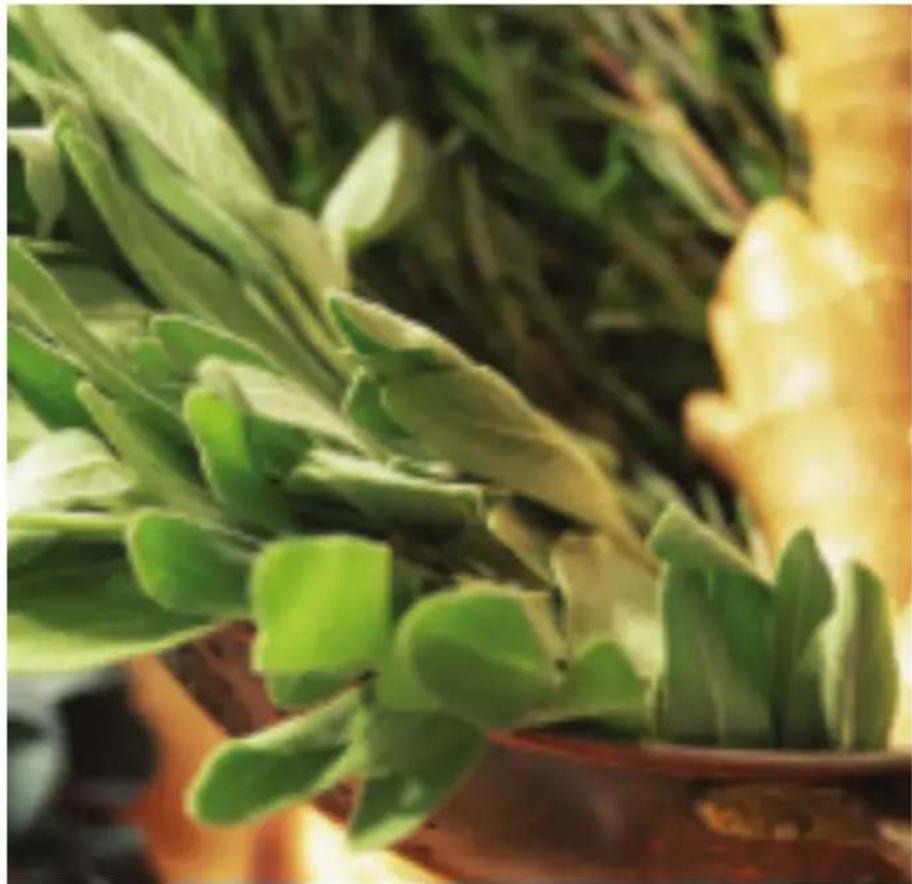 Vitamix Aspire - ABOUT HERB GRINDING - 1