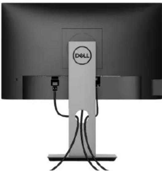 DELL P2719H - Kabel verlegen - 1