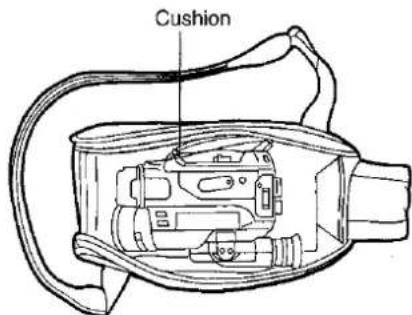 Cushion
