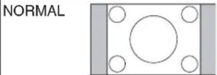 NEC MultiSync C501 - Seitenverhältnis - 2
