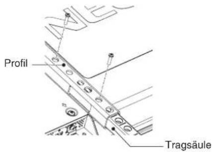 Profil Tragsäule