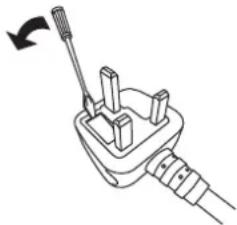 PANASONIC PT-RS11K - IMPORTANT: THE MOLDED PLUG (U.K. only) - 1