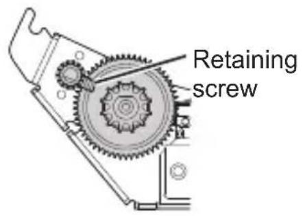 Retaining screw