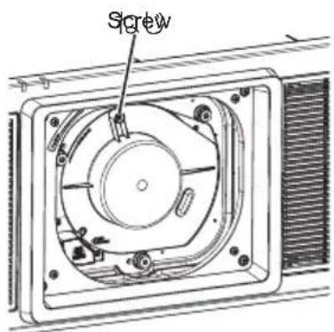 Screw