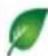 StarTech.com MDP2HDW - Technische Spezifikationen - 3