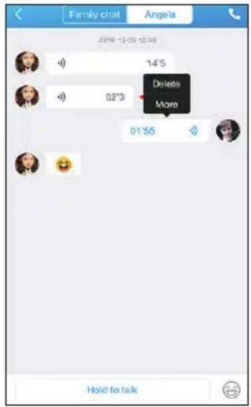 Family chat Angela 2016-12-05 12:38 14'5 Delete More 02'3 01'55 Hold to talk