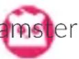 ALCATEL Movetime Family - Icon Status Icon Status - 8