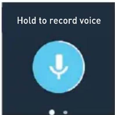 Hold to record voice