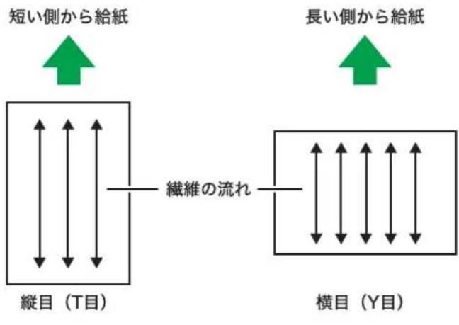 短い側から給紙 縦目(T目) 繊維の流れ 長い側から給紙 横目(Y目)