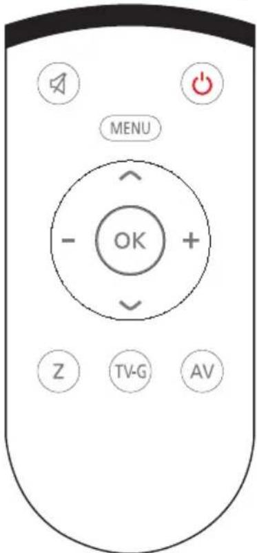 GRUNDIG 55 GCO 9900B - Uzaktan kumanda - tüm fonksiyonlar - 1