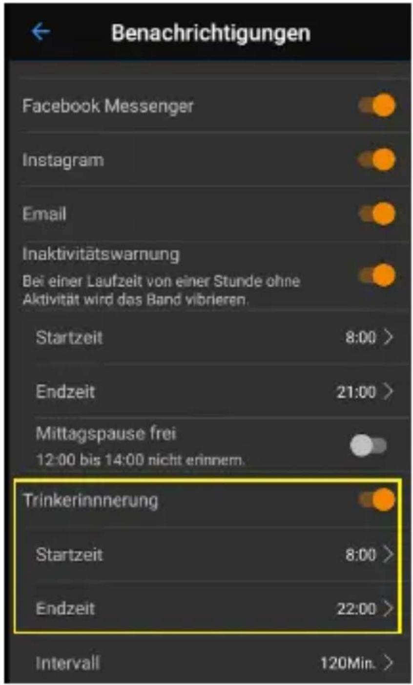 Swisstone SW 380 HR - Trinkerinnerung - 1