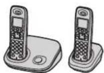 PANASONIC KX-TG8022G - Modell-Ausführung - 1