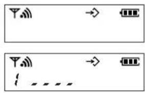 PANASONIC KX-TCD960 - Sammelruf einstellen - 1