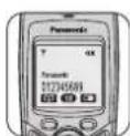 PANASONIC KX-TCD535GM - Mehrfach-Mobilteile - 1