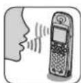 PANASONIC KX-TCD535GM - Polyphone Ruftöne für Mobilteile - 1
