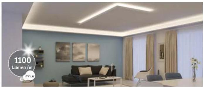 Paulmann 703.10 - MaxLED 1000 (24 V) - 1
