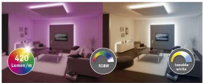 Paulmann 703.10 - MaxLED RGB, RGBW und tunable white (24V) - 1