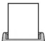 PANASONIC KX-FP215G - Aufzeichnungspapier - 3