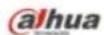 Dahua Technology Eco-savvy 3.0 IPC-HFW4431EP-SE - Record control - 2