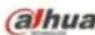 Dahua Technology Eco-savvy 3.0 IPC-HFW4431EP-SE - Dahua Network Camera Web 3.0 Operation Manual - 3