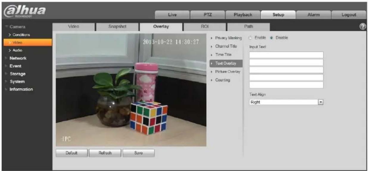 Dahua Technology Eco-savvy 3.0 IPC-HFW5231EP-ZE - Video Overlay - 2