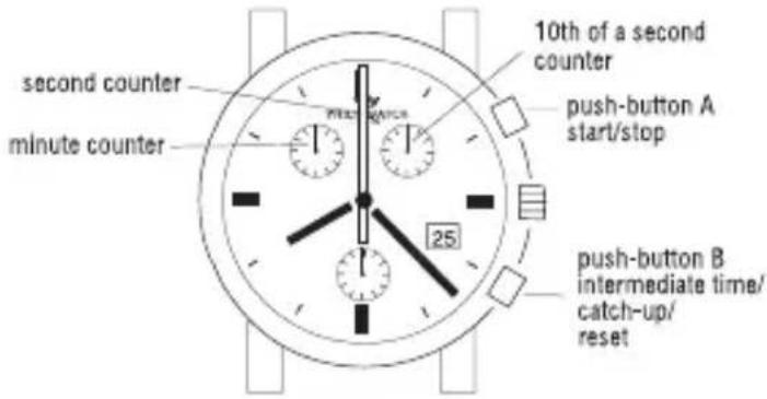Philip Watch Quartz Swiss Chrono - QUARTZ - 2