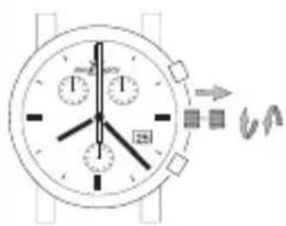 Philip Watch Quartz Date - AVVERTENZA - 1