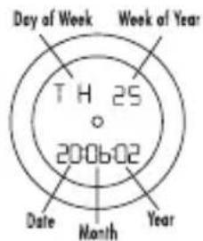 Philip Watch Quartz Date - - CALENDAR MODE - 2