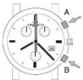 Philip Watch Quartz Date - AVVERTENZA - 1