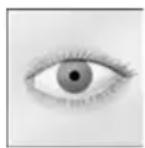 StarMoney Business 6.0 PlusPaket - ▶ Umbuchen auf Barkonto - 1